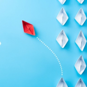 Innovation as a Differentiator