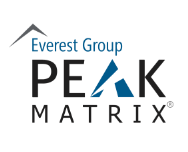 Analytics & AI Specialist, Everest Group PEAK Matrix®
