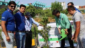 Tree-plantation-1-scaled